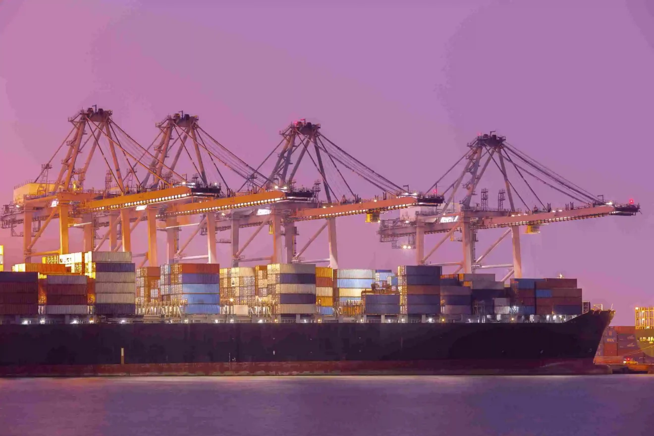 Trump-tariffs-to-have-limited-effect-on-US-solar-imports-from-Asia-3